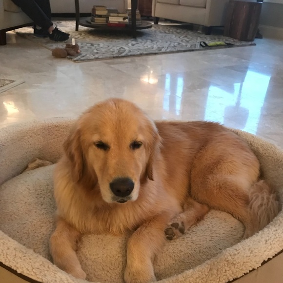 Meet your Posher, Carol - Picture 1 of 1